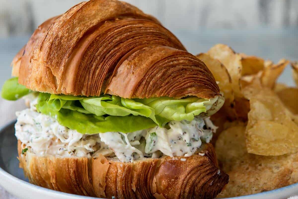 A chicken salad sandwich on a croissant.