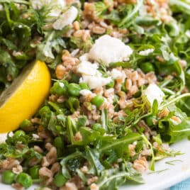Farro salad with peas and feta on a white plate.