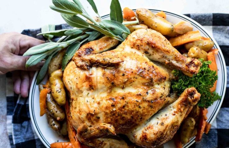 A whole garlic butter roasted chicken and vegetables on a white plate.